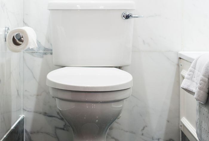 Professional Toilet Installation Is It Worth It?